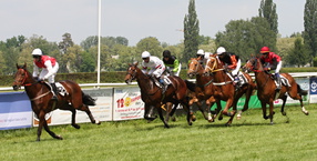 Pardubice 25.5.2013